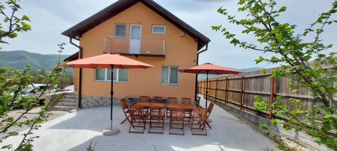Casa De Vacanta Laurentiu Calimanesti Exterior foto