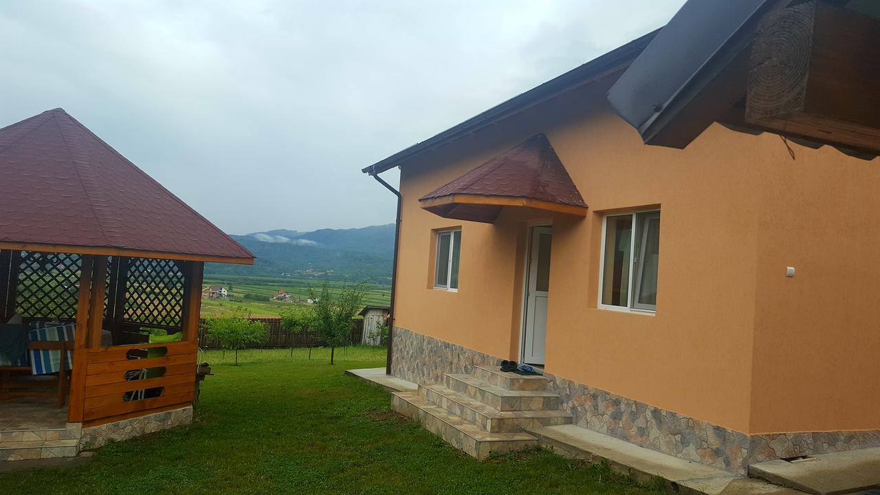 Casa De Vacanta Laurentiu Calimanesti Exterior foto